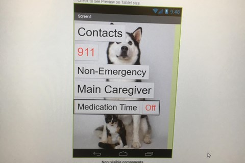 APP Challenge Flyer